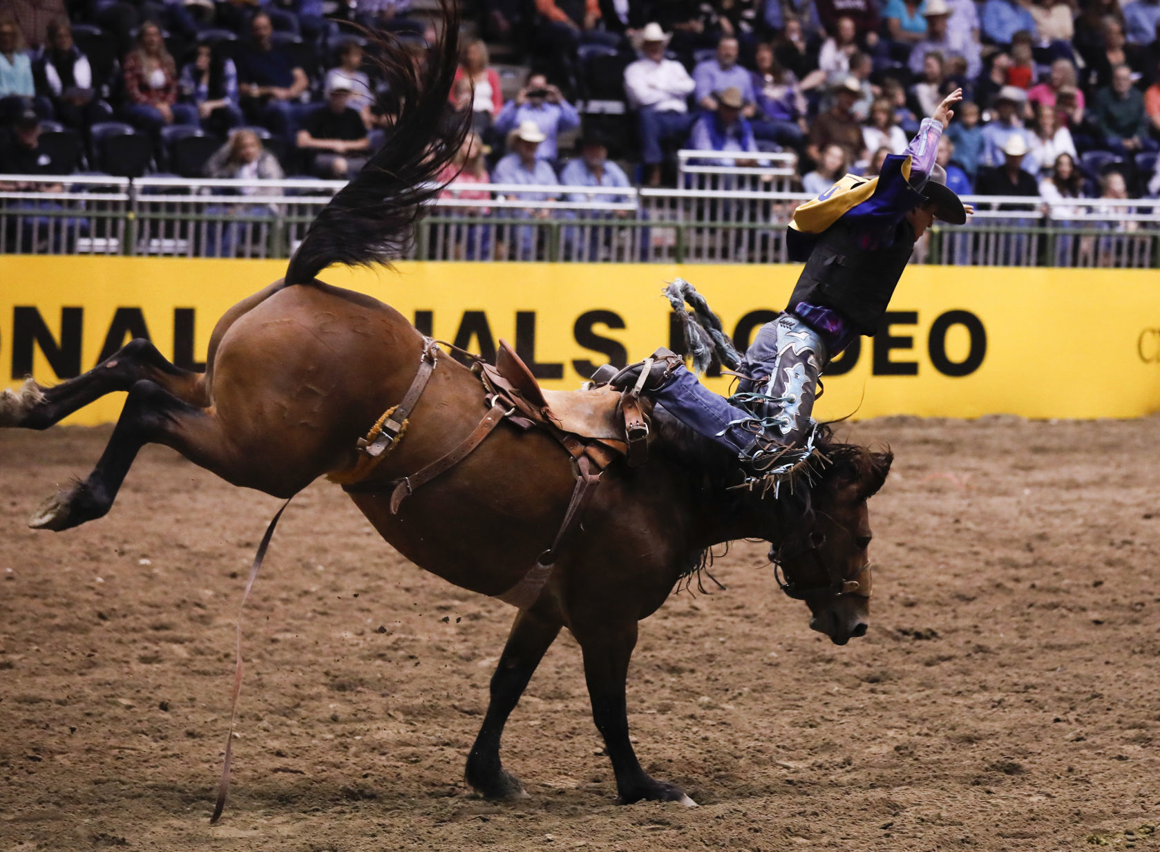 CNFR - Tuesday